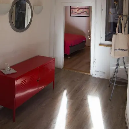 Appartement Le Bain Aux Plantes Strasbourg Exterior photo