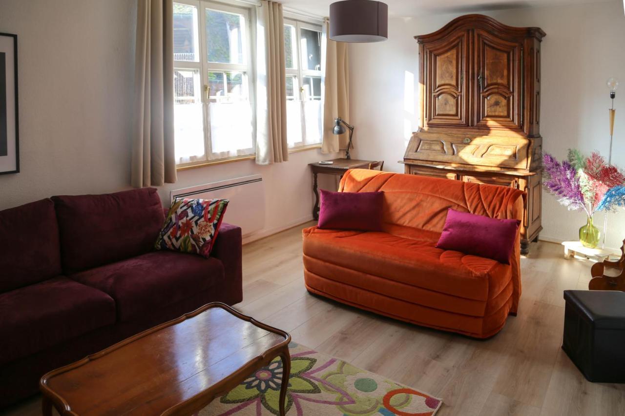 Appartement Le Bain Aux Plantes Strasbourg